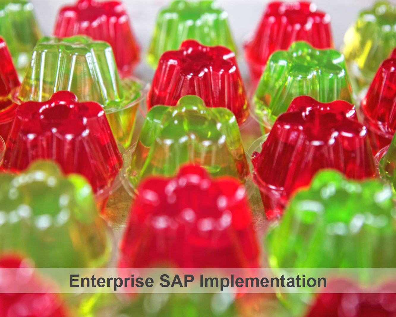 Enterprise SAP Implementation